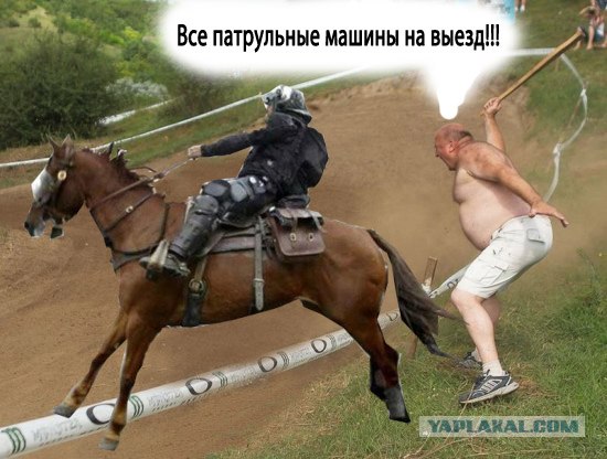 Фотожаба: Давай, гони!