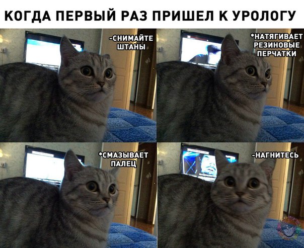 Пикчеслив 16.01.21