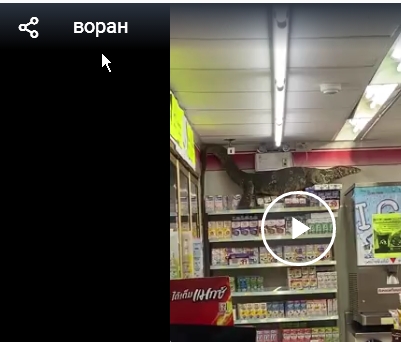 Годзилла в магазине