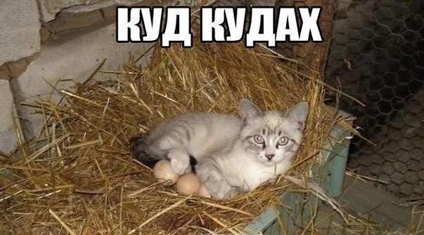 Просто фото...