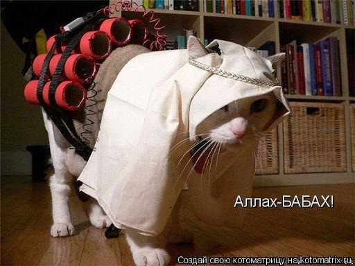 Как за неделю создать шедевр