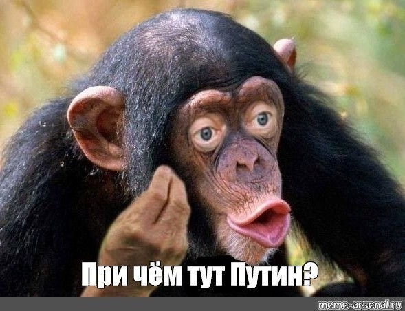 Девушка из Липецка спросила, почему бананы из Эквадора стоят дешевле, чем морковка из соседних регионов