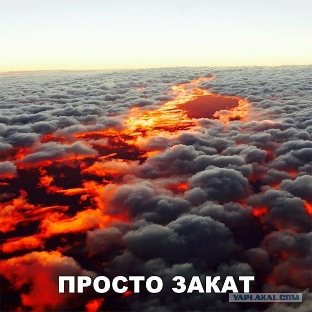 Мир, в котором все натурально и нет ни грамма фотошопа