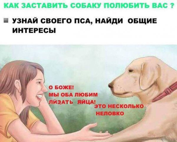 Пятница. И немного слегка пошлых картинок с надписями и без 16+ (06.08))