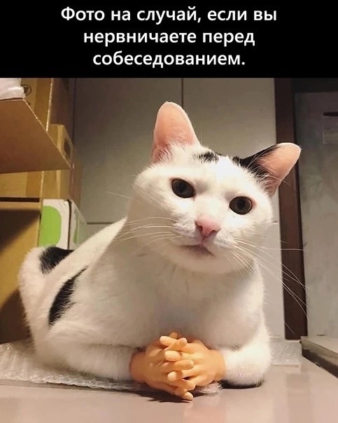 Юмор в картинках 16.08.21