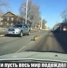 Королева парковки