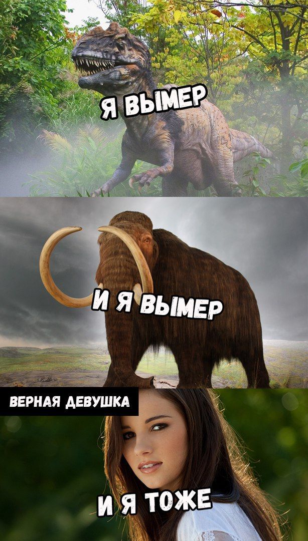 Ты видела его КТ?