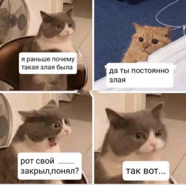 Стареющим женщинам в плане секса обиднее, чем стареющим мужчинам