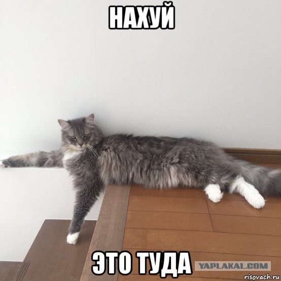 Окно Овертона расширяется ?