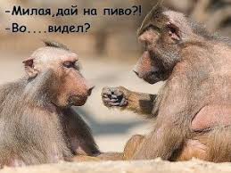 Муж и жена - одна сатана?