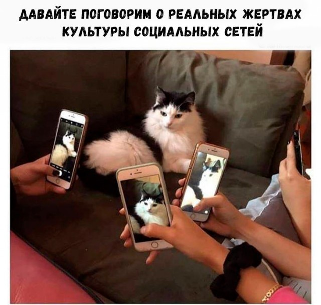 Картинки и мемы для настроения - 111