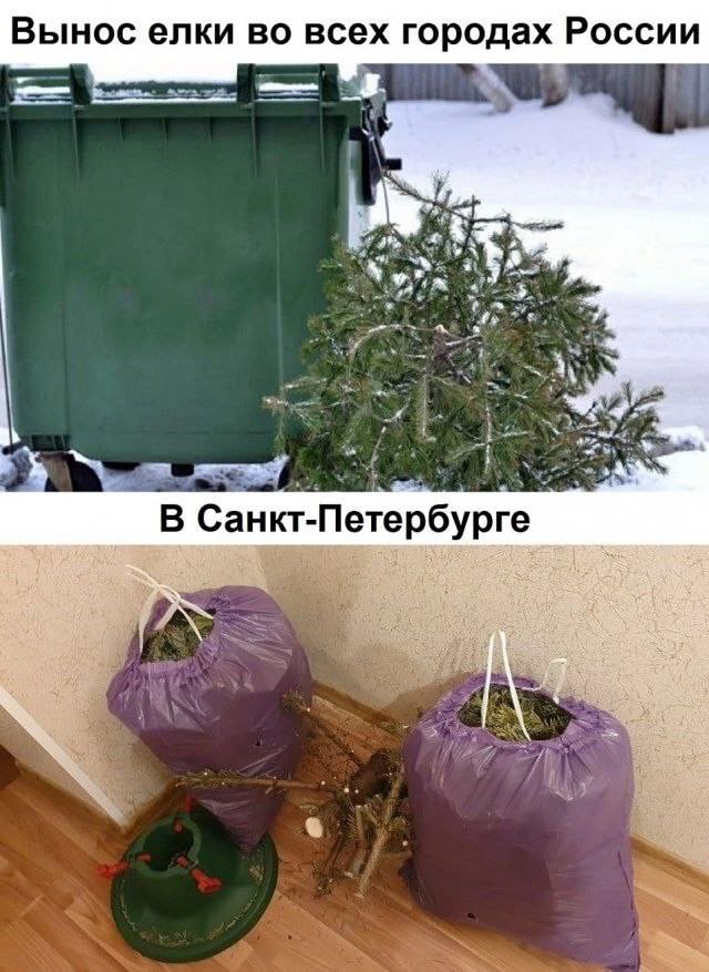 Картинки и мемы, всем хороших выходных
