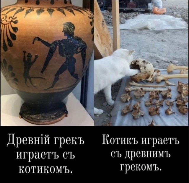 Картинки про всякое