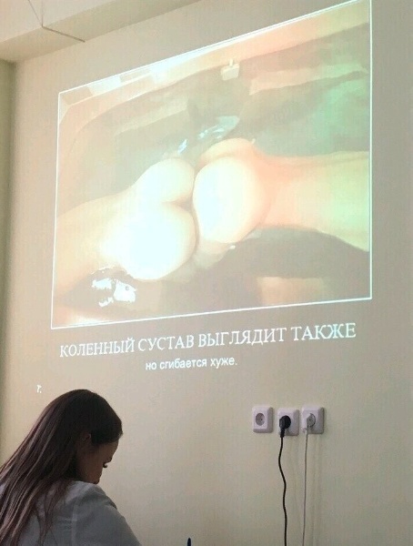 Всего понемногу. От 04.04.