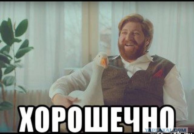 Все любят баню