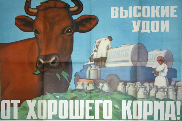 Название книги не подскажете?