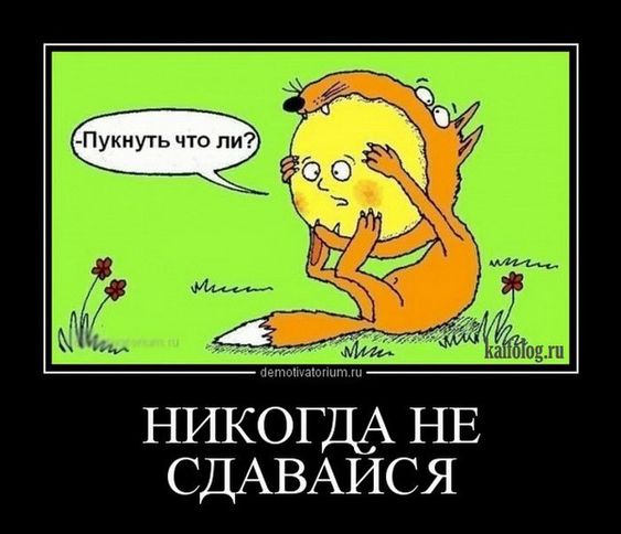 Прикольные и просто красивые картинки 27.10.2023
