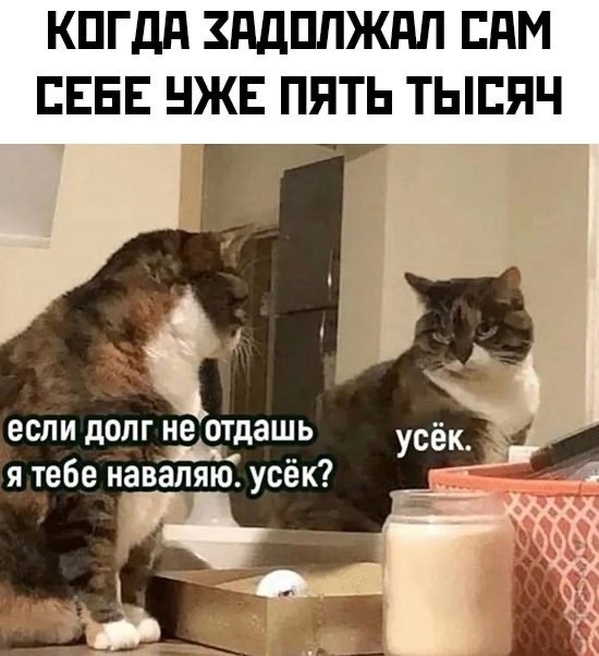 ТРРРидцать тРРРи от 7 мая