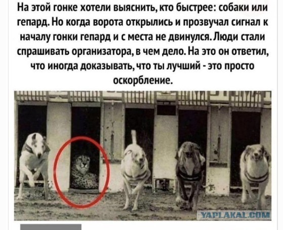 "Нет народа, о котором было выдумано столько клеветы!"