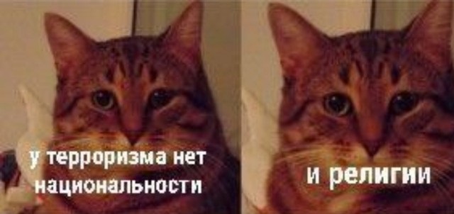 Происшествия в России
