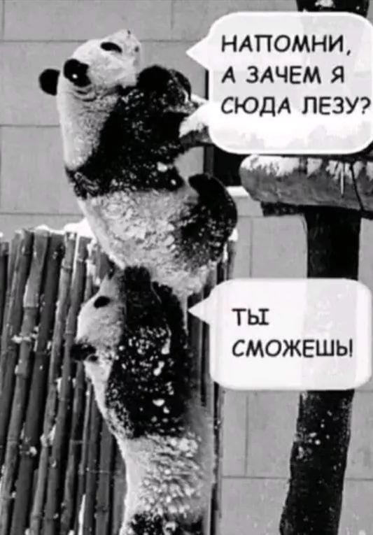 Завалялось тут случайно немного забавных картинок