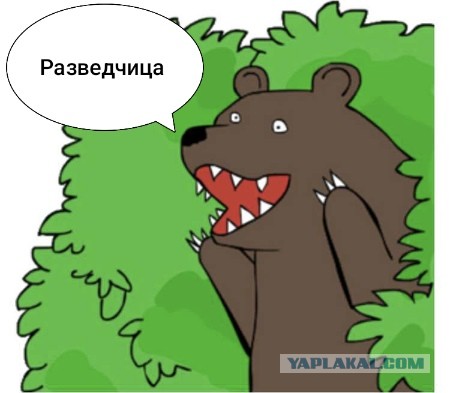 Новый директор национальной разведки США Тулси Габбард