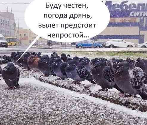Завалялось тут случайно немного забавных картинок