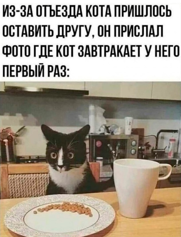 Так себе картинки 27.02.25