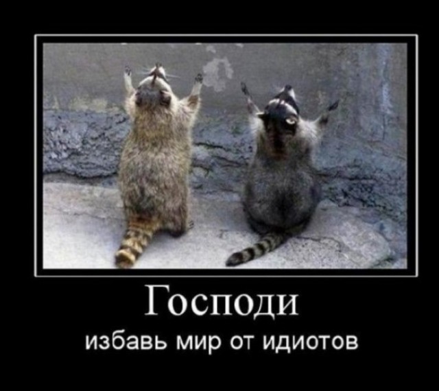 Ремонт моста пошел не по плану