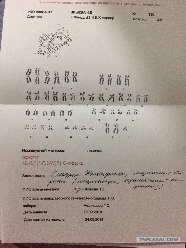 Международная федерация легкой атлетики объявила о введении обязательного генетического теста для женщин