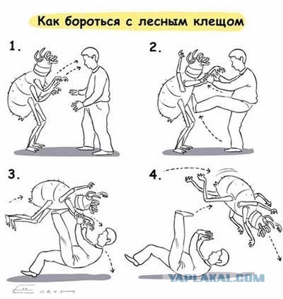 Чёткий приём