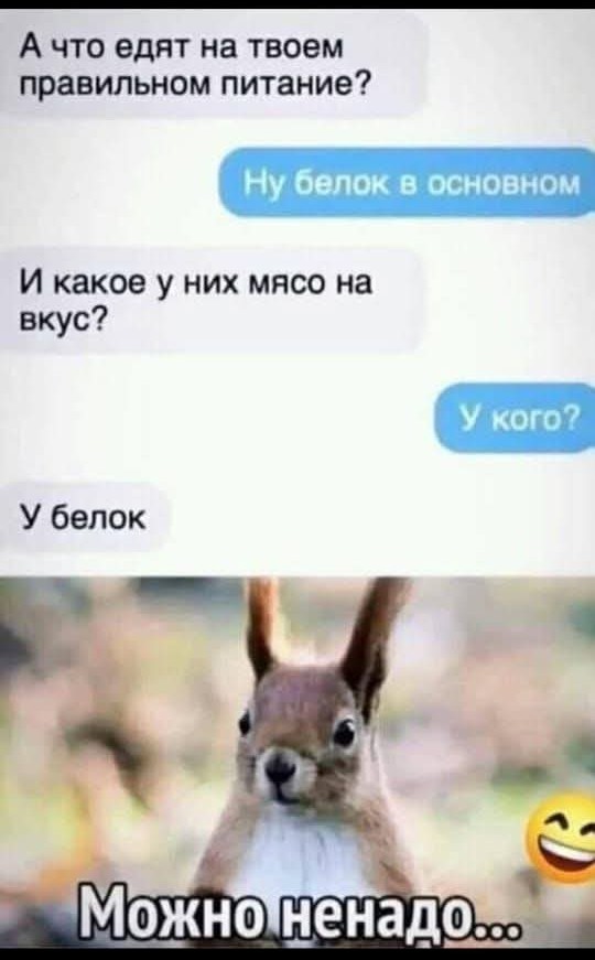 Картинки для деградации 36 (разной степени свежести)