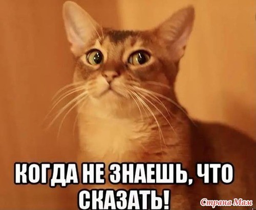 Новая Lada Largus за почти 2 млн рублей оказалась пустышкой