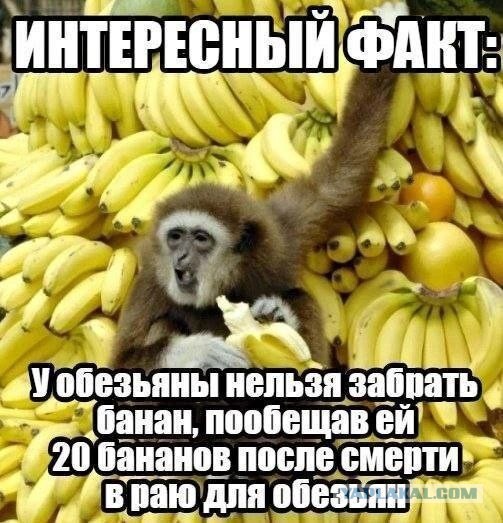 Так себе картинки 09.12.25
