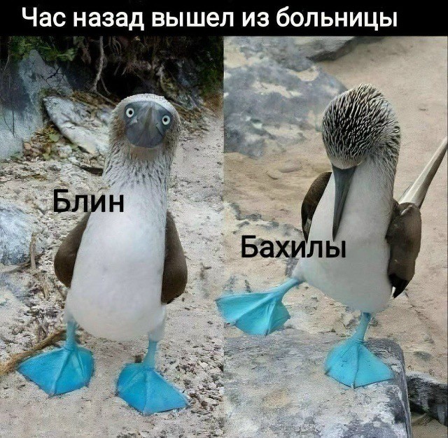 Понедельника картинки