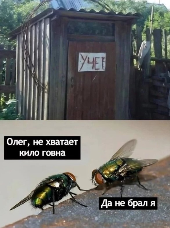 Картиночки, баянчики 26 мая