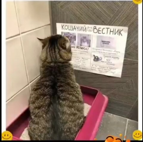 Ну нихрена себе