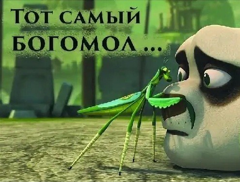"Сейчас за палец укусит!"