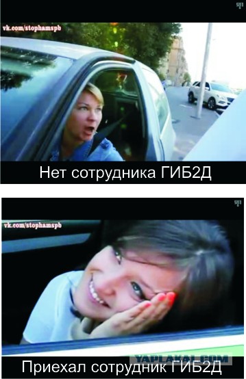 СтопХам СПб - Неадекватная