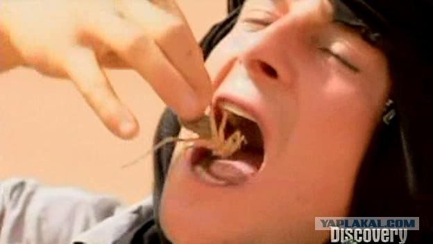 Тварь в подъезде