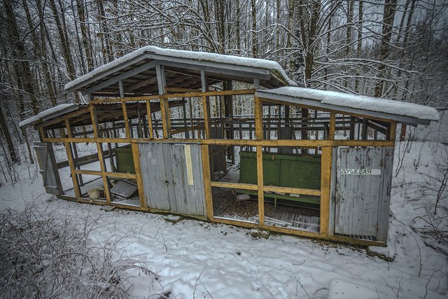 Пионерлагерь «Лесные дали»