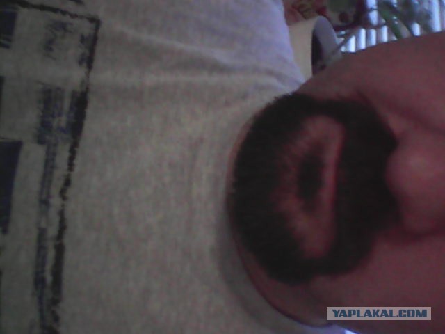 Выращиваем бороду в комнатных условиях