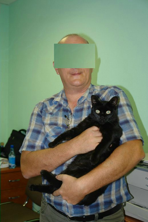Все умрут, но некоторые не сегодня