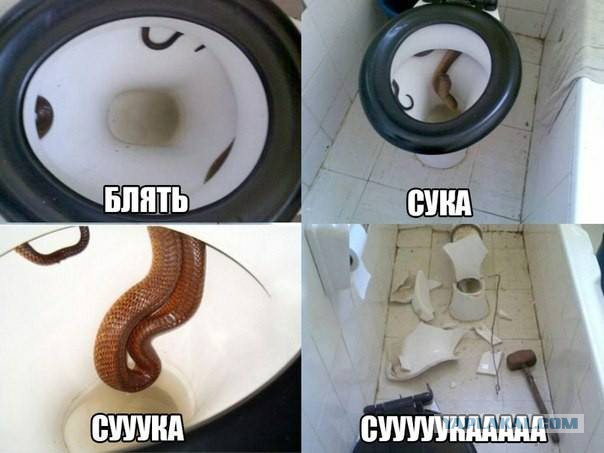 Позитивные картинки