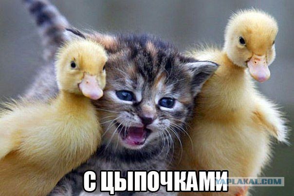 Чёрт, чёрт, чёрт!