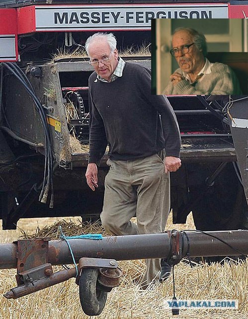 Ирландский фермер выгнал Рианну со своего поля
