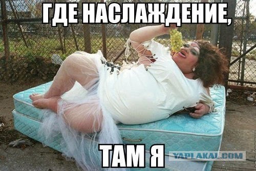 Свежие картинки из сети