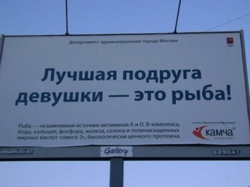 Подборка весёлых картинок