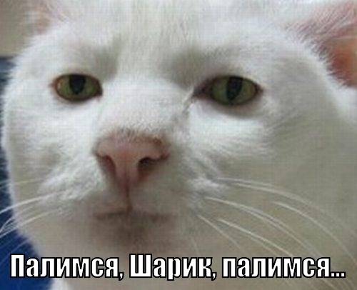 Вот это меня торкнуло