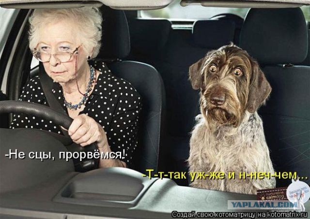 Весёлое из сети